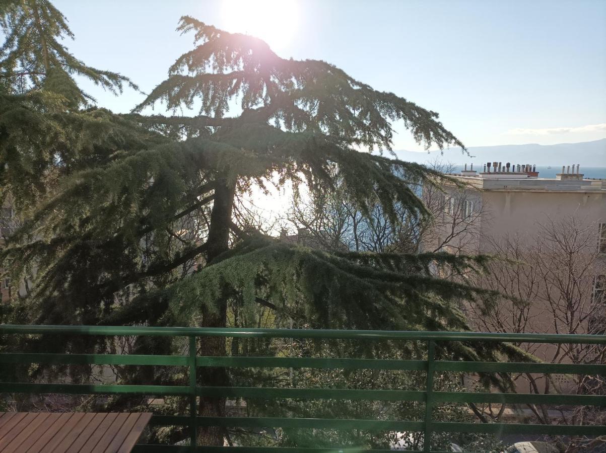 Apartman Pecine Rijeka Exterior photo